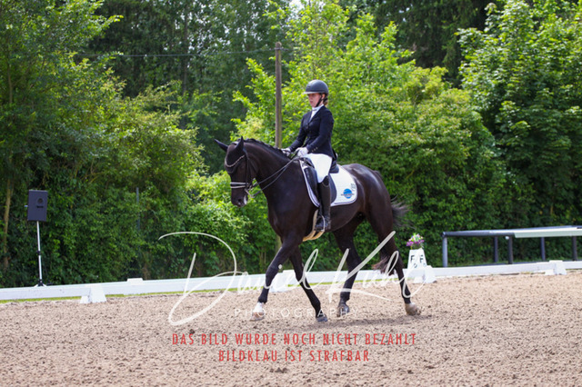 DKP40968 | Turnierfotos kaufen im Webshop von Daniel Kuhl Photography – entdecke professionelle Reitsportfotos aus Turnieren & Events. Hochwertige Turnierbilder online bestellen & sichern. Jetzt Fotos von Reitsportturnieren kaufen!
