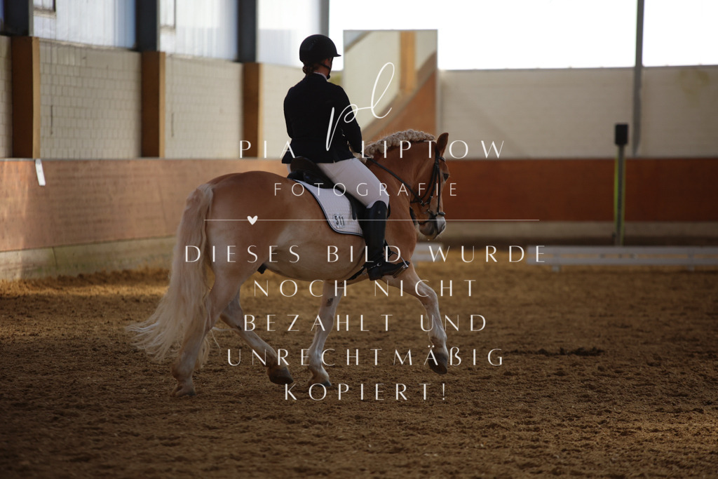 IMGT7330 | pl-fotografie