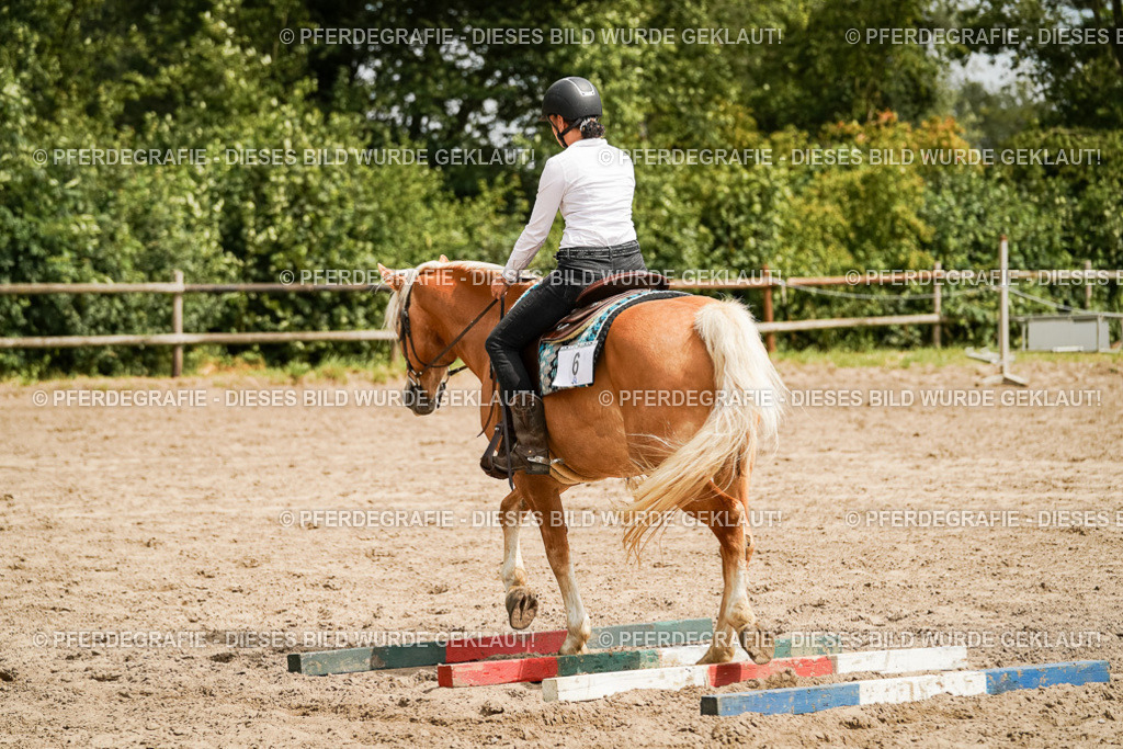 DSC00303 | Pferdegrafie