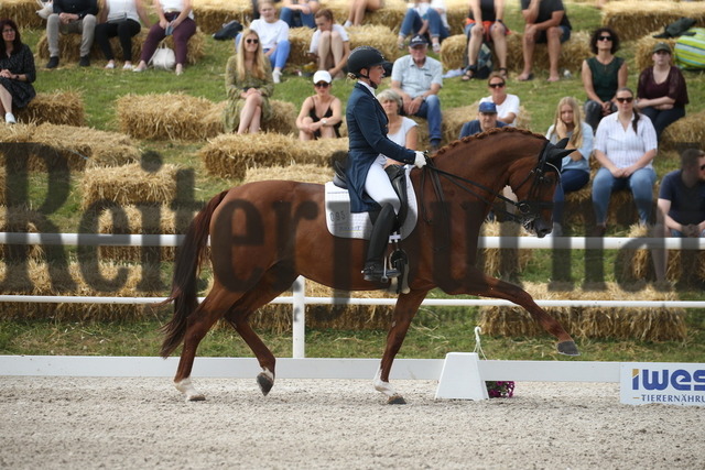Birkhof_2022_GrandPrixSpecial_Nicole Casper_Birkhof_s Don Röschen FBW(12) | Alle Fotos der Reiterjournal Fotografin Doris Matthaes im Reiterjournal Online-Fotoshop. - Realisiert mit Pictrs.com