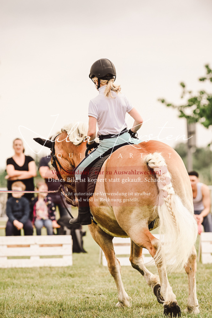 DSC_5238 | Pferde- und Turnierfotografie in Westsachsen. Pferdeportraits, Auftragszeichnungen und intuitive Kunst.