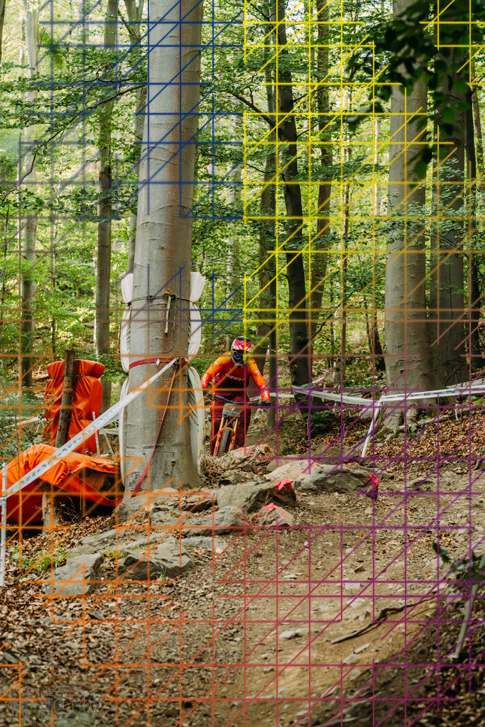 PAE-2498 | Einzigartige Fotokunst für dein Zuhause: Entdecke hochwertige Wandbilder, edle Prints und emotionale Motive von Wildlife, Natur und Landschaften - Realisiert mit Pictrs.com