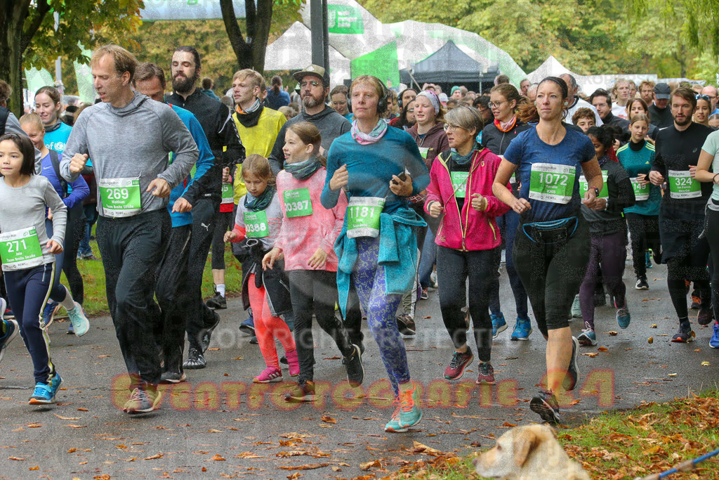 220925_1113_EX1_7437 | Sportfotografie im Rhein-Sieg Kreis, Köln, Bonn, NRW, Rheinland Pfalz, Hessen, etc. Unser Tätigkeitsfeld umfasst den Laufsport vom Volkslauf über den Marathon, Duathlon, Triathon bis zum Ultralauf wie Kölnpfad Ultra oder Schindertrail.