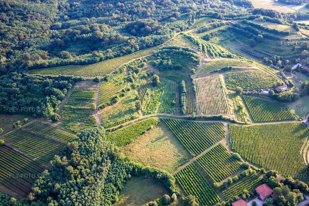 Aerial view: Vineyards in Mossa in the state Gorizia, Italy.Photo: IMG_137599.jpg taken on 07/16/2023 by Werner Riehm/FLY-FOTO.comResolution of the original: 4758 x 3172 px