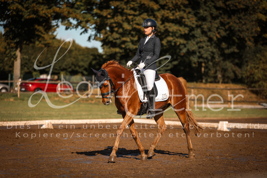 13.SoDrA100456 | Leoni Ertmer Photography - Realisiert mit Pictrs.com