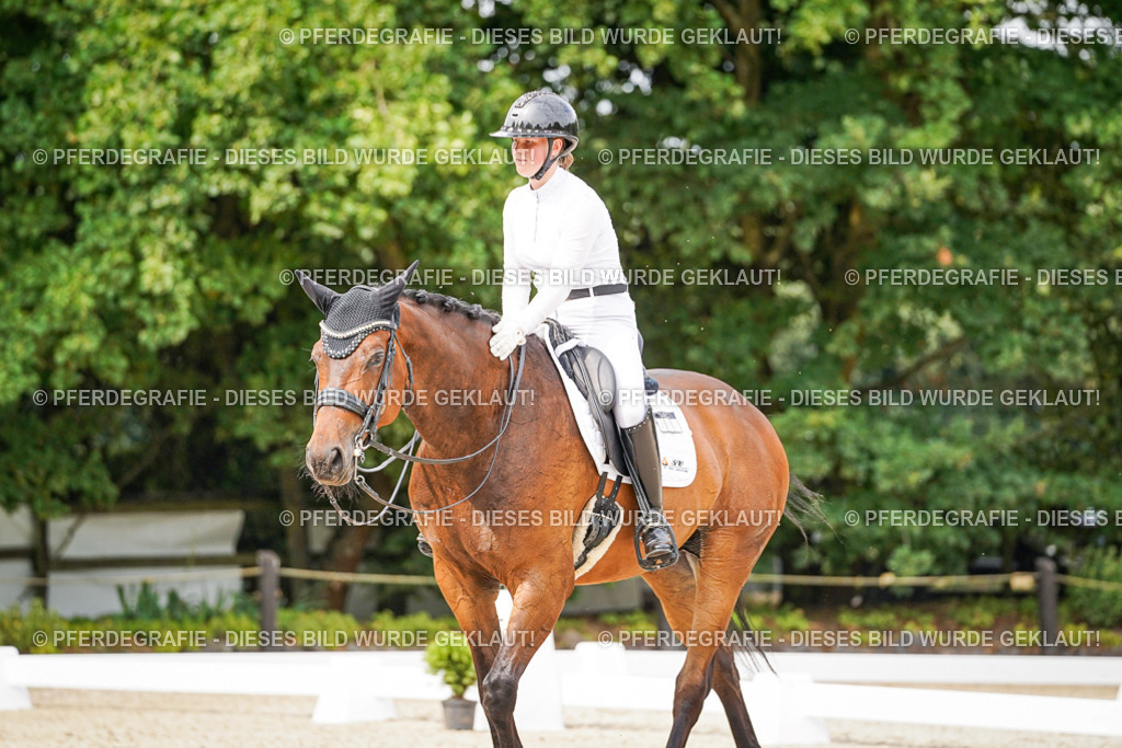 DSC06810 | Pferdegrafie