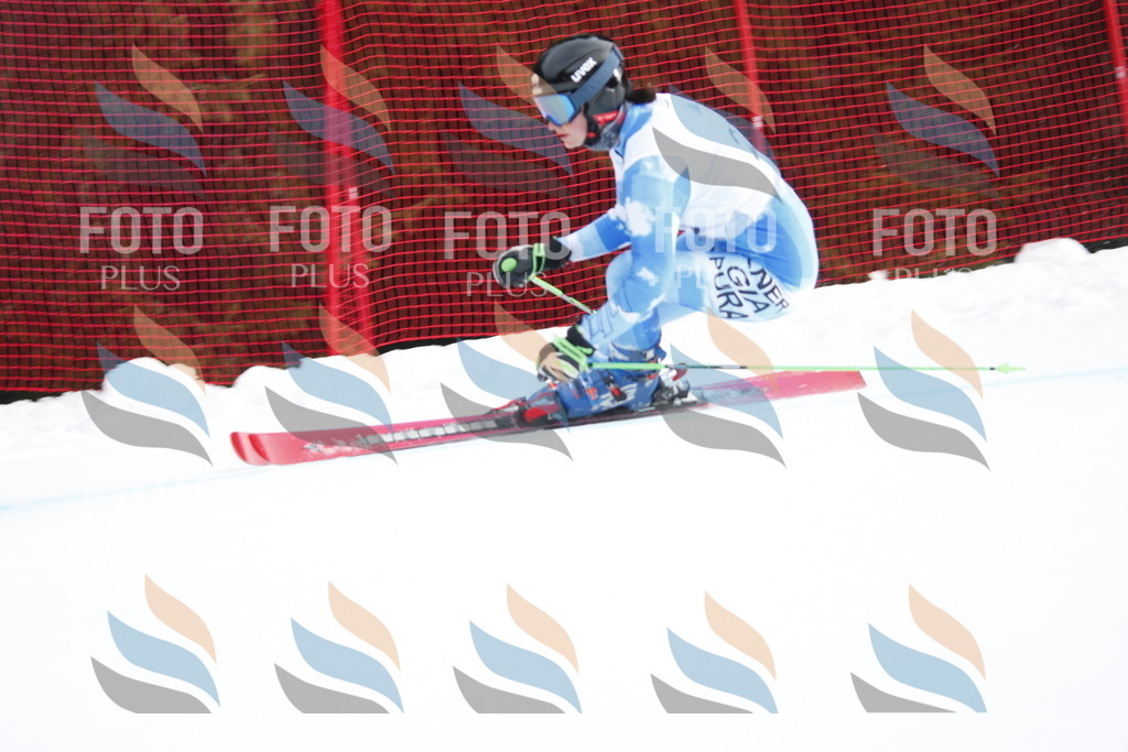 D4879 | holidayphoto