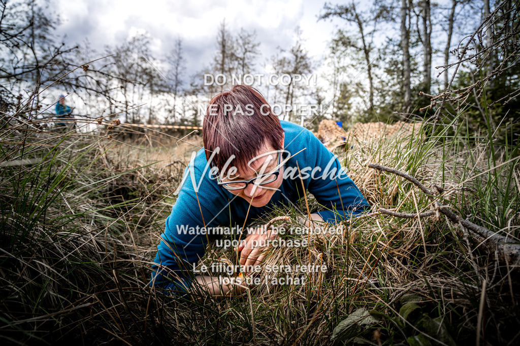 NR__0234 | nelerasche