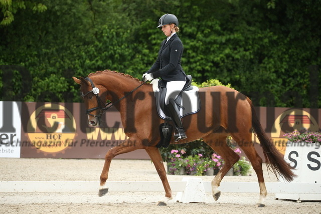 Weilheim_2022_4-jährige_Reitpferde_Ines Knoll_So Lovely D (9) | Alle Fotos der Reiterjournal Fotografin Doris Matthaes im Reiterjournal Online-Fotoshop. - Realisiert mit Pictrs.com