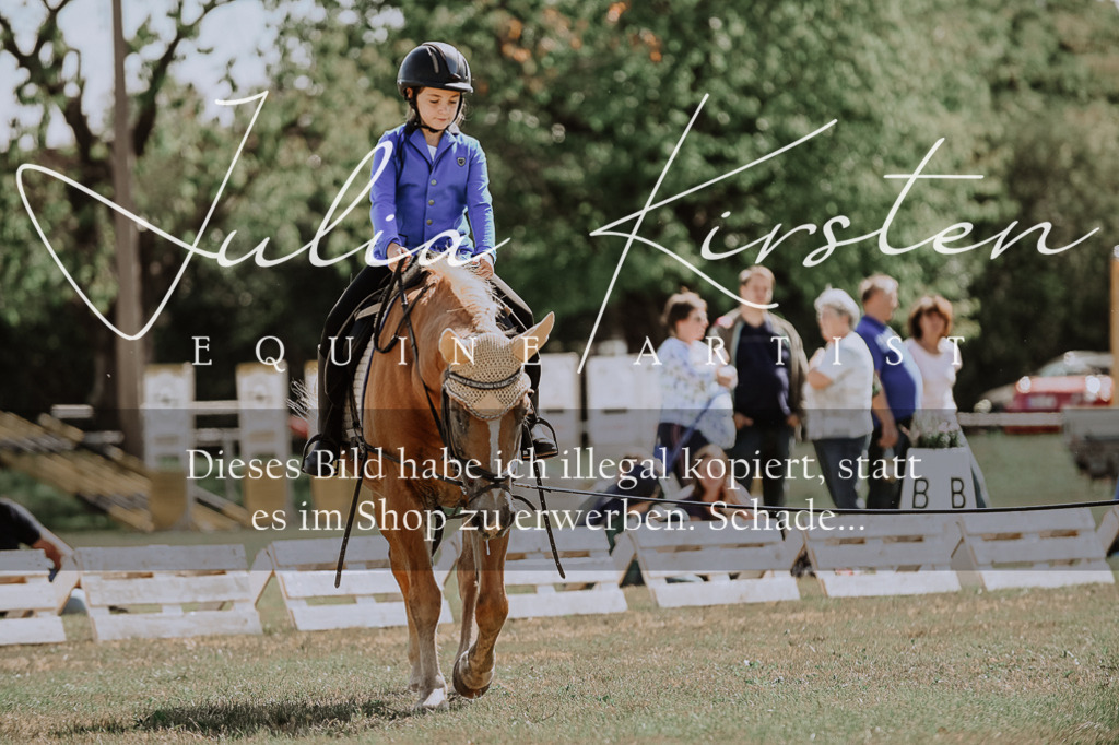 DSC_7535 | Pferde- und Turnierfotografie in Westsachsen. Pferdeportraits, Auftragszeichnungen und intuitive Kunst.
