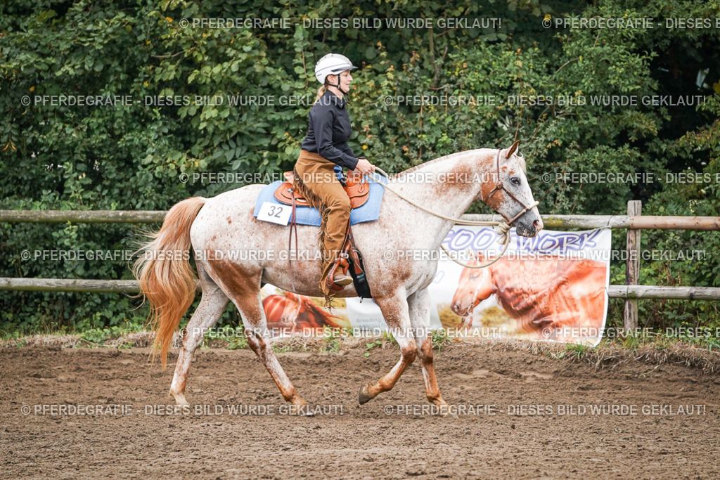 DSC01971 | Pferdegrafie