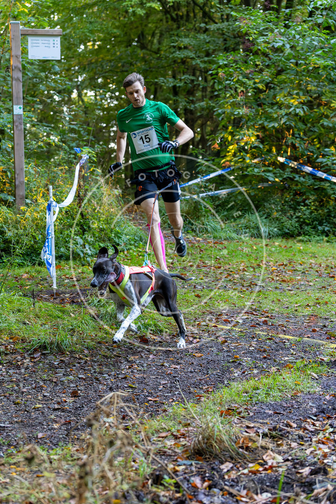 Pfotenfotografie_DV3A6364 | Hundefotografie, Tierfotograf, Pfotenfotografie, Fotoshooting Hund, Hunde Portrait, Hundesport, Hundeportraits, Heideshooting, Hunde, Sportfotograf, Hundefotograf, Turnierhundsport, THS,  - Realisiert mit Pictrs.com