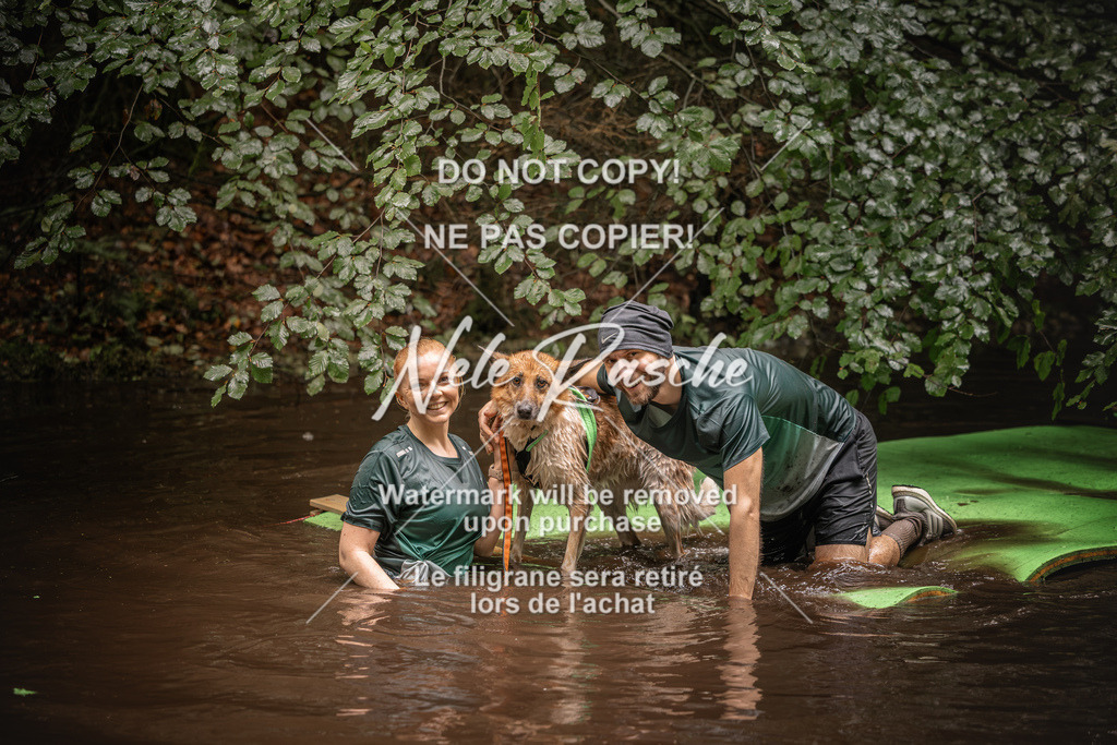 nelerasche_Wingst_Sa1330-1400_385 | nelerasche