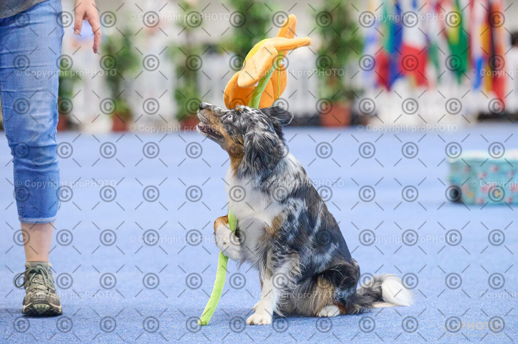 202406_ÖKV-IHA-Tulln24_DSC_4585 | proPHOTO - Realisiert mit Pictrs.com