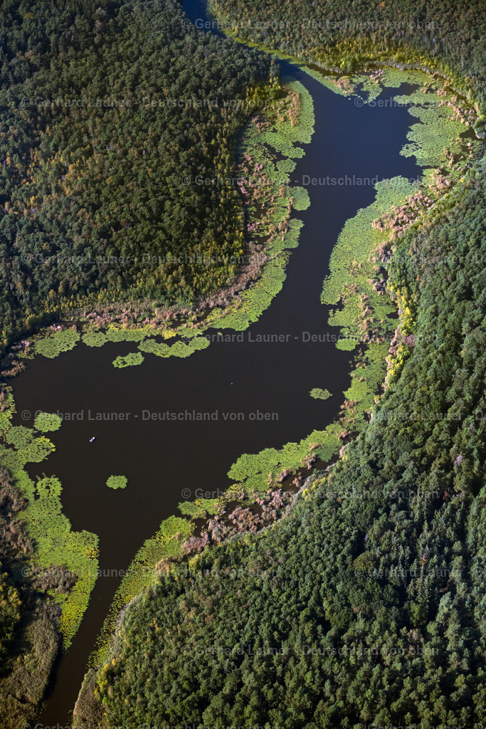 4062302 | ROGGENTIN 08.09.2021 Blick auf eine Seenlandschaft in Roggentin im Bundesland Mecklenburg-Vorpommern. Zu sehen sind die von einer Waldlandschaft umgebenen Seen Mössel (vorne),Leppinsee (mittig) und Woterfitzsee (hinten). // View of a seascape in Roggentin in the state Mecklenburg-West Pomerania. Foto: Gerhard Launer