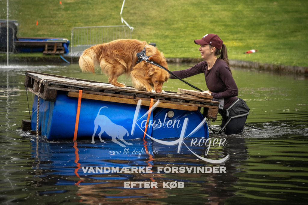 1002_ZZ93751 | kk-dogfotos
