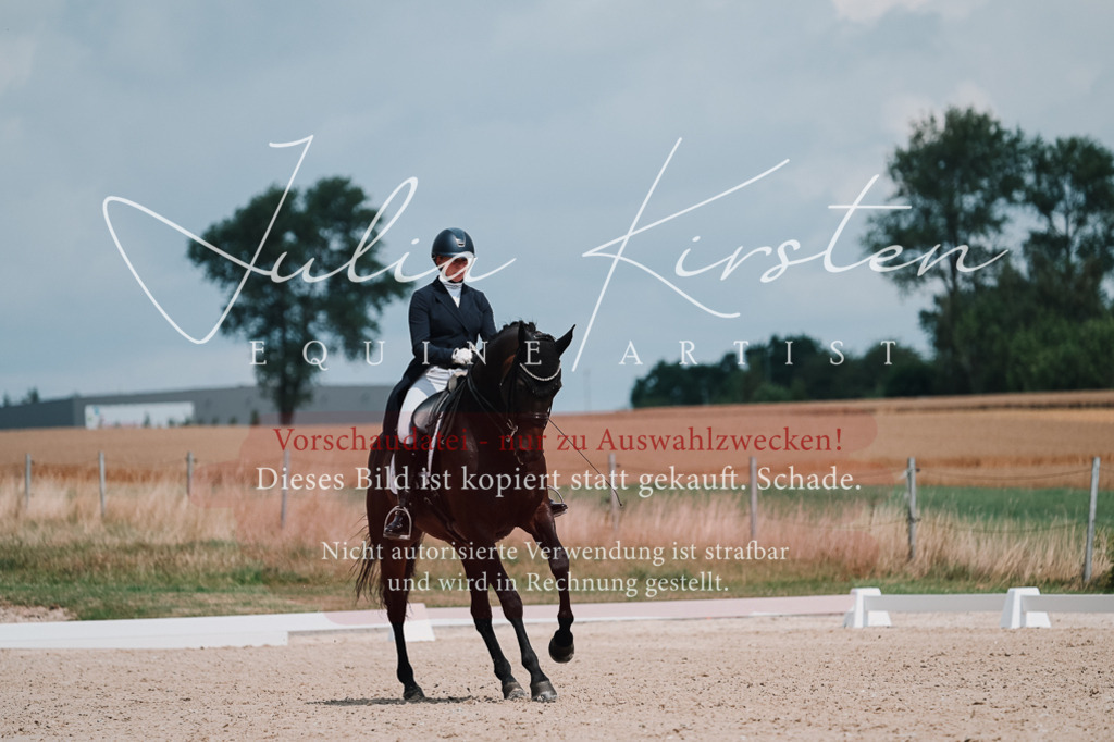 DSC_4317-2 | Pferde- und Turnierfotografie in Westsachsen. Pferdeportraits, Auftragszeichnungen und intuitive Kunst.