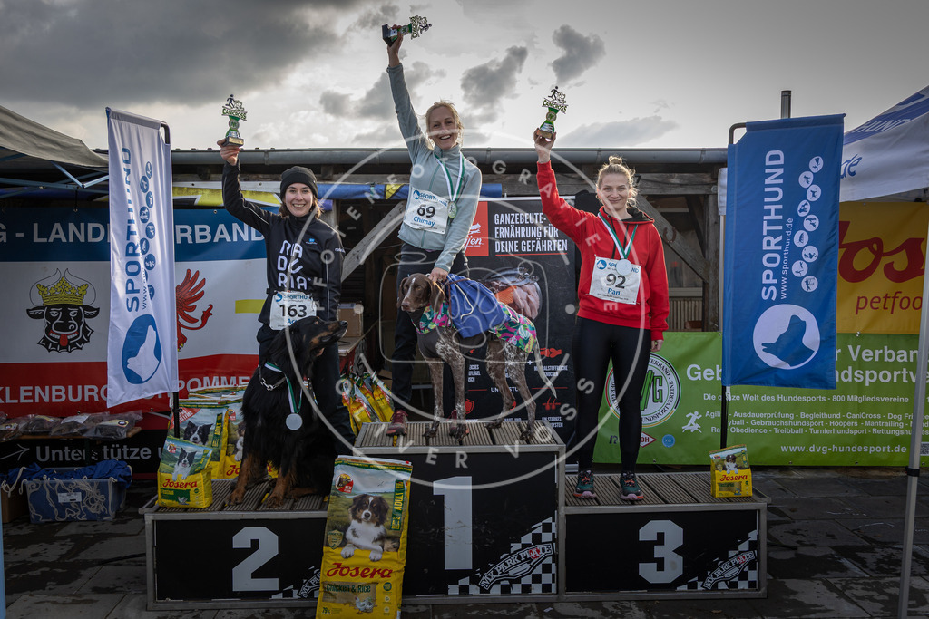 0L8A9179 | Hundefotografie, Tierfotograf, Pfotenfotografie, Fotoshooting Hund, Hunde Portrait, Hundesport, Hundeportraits, Heideshooting, Hunde, Sportfotograf, Hundefotograf, Turnierhundsport, THS,  - Realisiert mit Pictrs.com