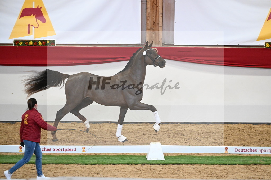 Kat.-Nr. 47 v. Damontez_Pfefferle_2250114 | hf-fotografie - Realisiert mit Pictrs.com