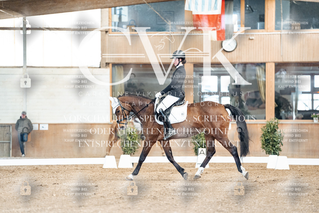CK900676 | Turnierfotografie Pferdefotografie Trier Rheinland-Pfalz Pferdesport Reitsport Tierfotografie Sportfotografie Pferdevideo Pferdevideografie Equestrianvideography equestrianphotography  - Realisiert mit Pictrs.com