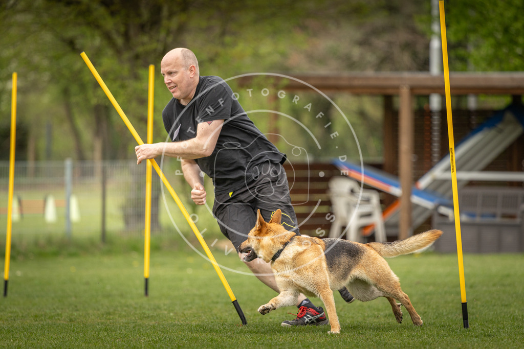 Pfotenfotografie_DV3A2204 | Hundefotografie, Tierfotograf, Pfotenfotografie, Fotoshooting Hund, Hunde Portrait, Hundesport, Hundeportraits, Heideshooting, Hunde, Sportfotograf, Hundefotograf, Turnierhundsport, THS,  - Realisiert mit Pictrs.com