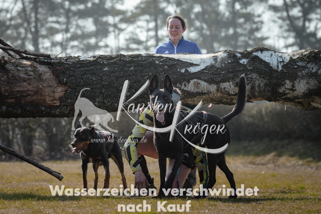 1129_ZZ95273 | kk-dogfotos