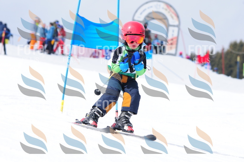 A3640 | holidayphoto