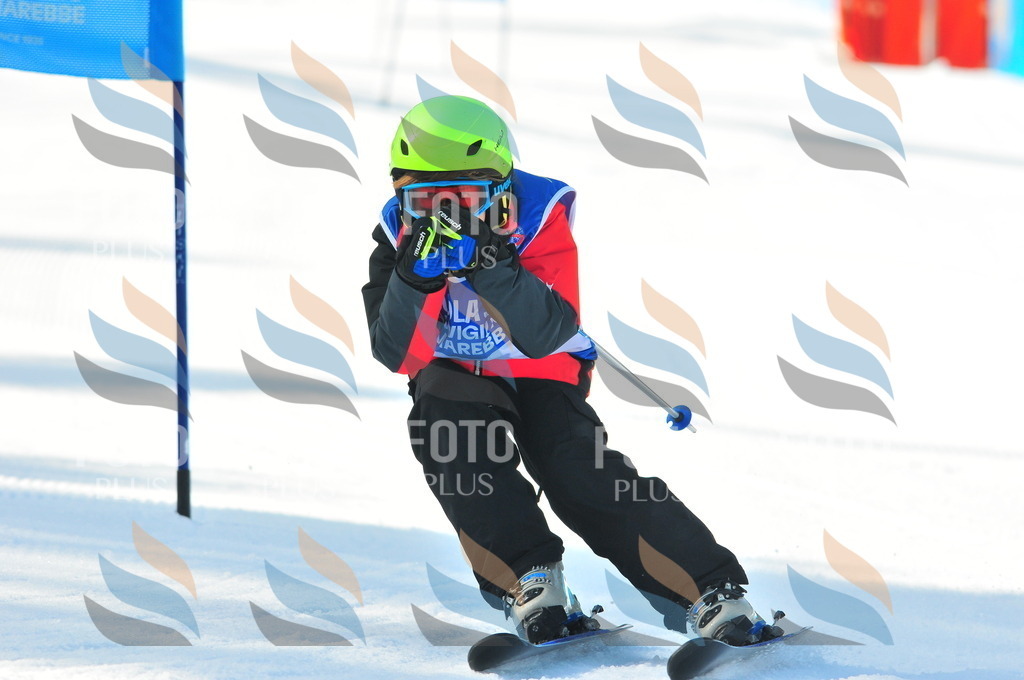 B8895 | holidayphoto