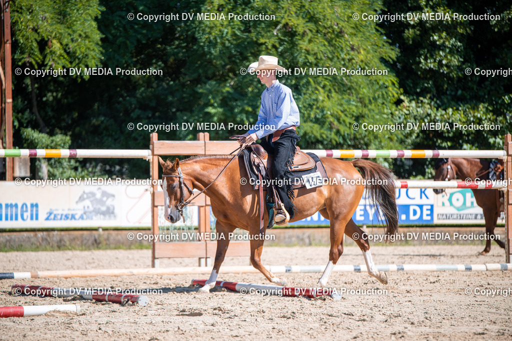 ZS1_0864 | dv-media-shop - Realisiert mit Pictrs.com