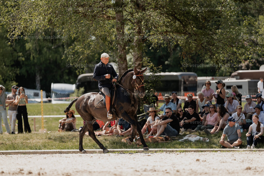 WE_SP_Stoib_320_PI2025_1715 | Pferd International München 2025