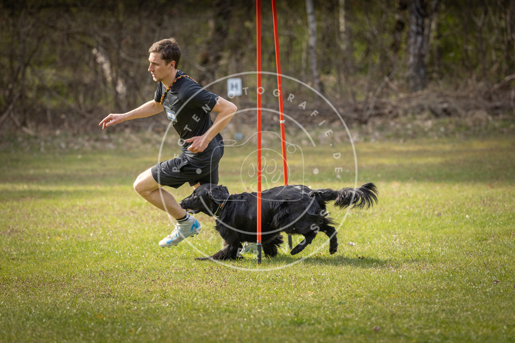 Pfotenfotografie_DV3A9807 | Hundefotografie, Tierfotograf, Pfotenfotografie, Fotoshooting Hund, Hunde Portrait, Hundesport, Hundeportraits, Heideshooting, Hunde, Sportfotograf, Hundefotograf, Turnierhundsport, THS,  - Realisiert mit Pictrs.com