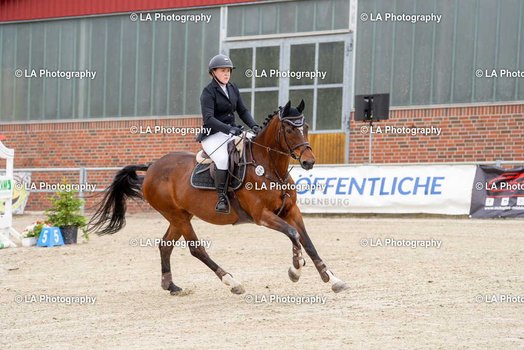 DSC07287 | Entdecke einzigartige Turnierfotos und persönliche Pferde- und Hundeportraits bei LA Photography. Für jeden Reiter und Pferd das perfekte Bild! Stöbere jetzt! - Realisiert mit Pictrs.com