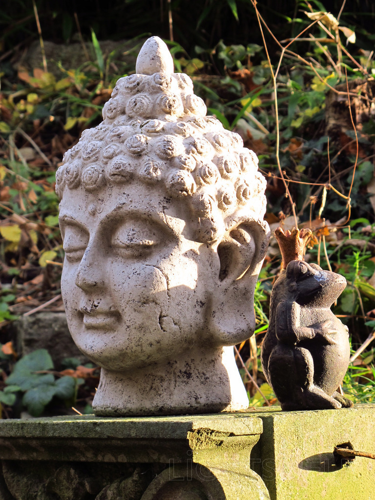 Reichtum | Buddha mit Frosch - Realisiert mit Pictrs.com