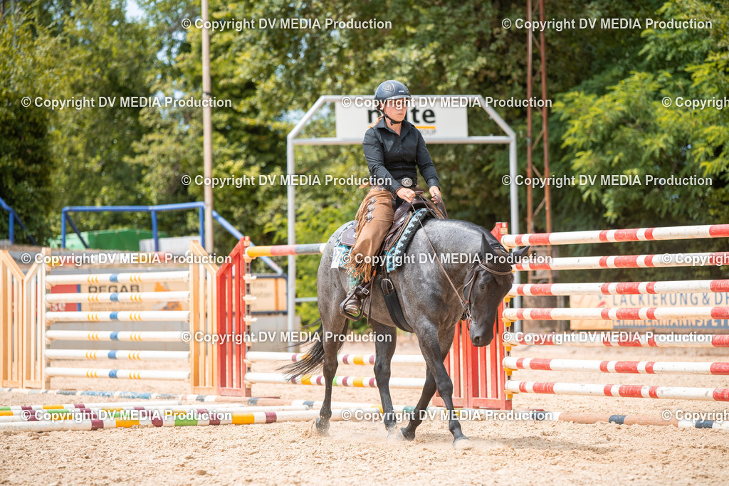 EWP_6477 | dv-media-shop - Realisiert mit Pictrs.com