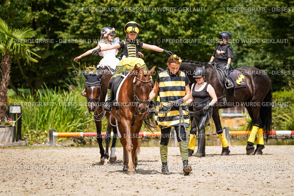 DSC03025 | Pferdegrafie