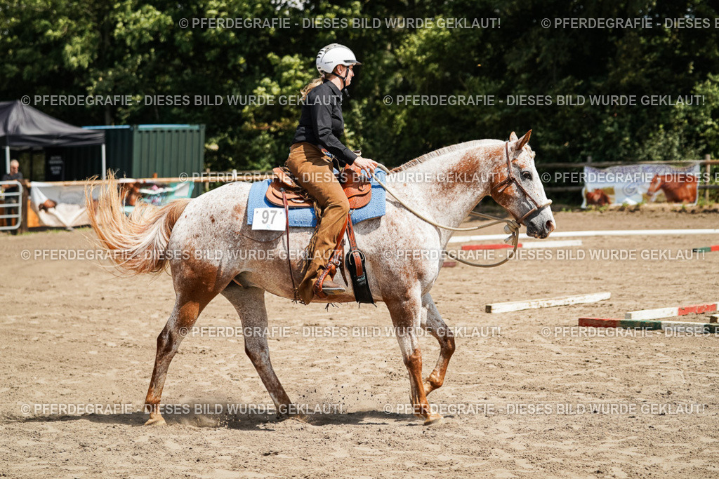 DSC06365 | Pferdegrafie