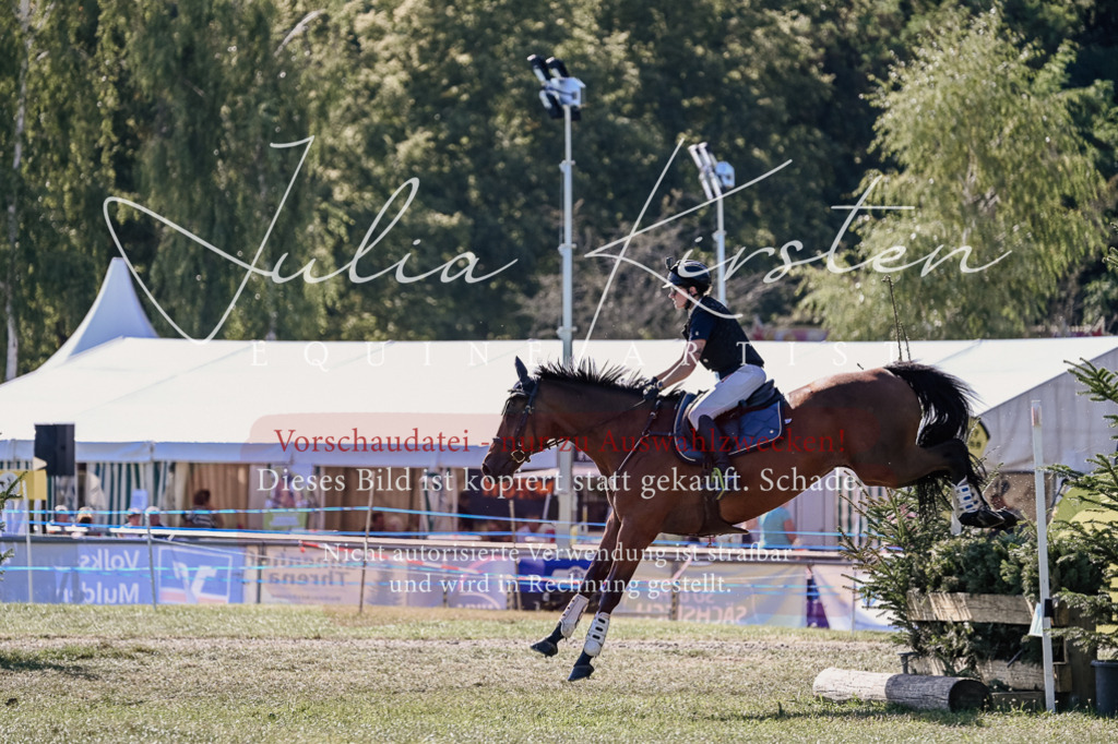 DSC_3392 | Pferde- und Turnierfotografie in Westsachsen. Pferdeportraits, Auftragszeichnungen und intuitive Kunst.