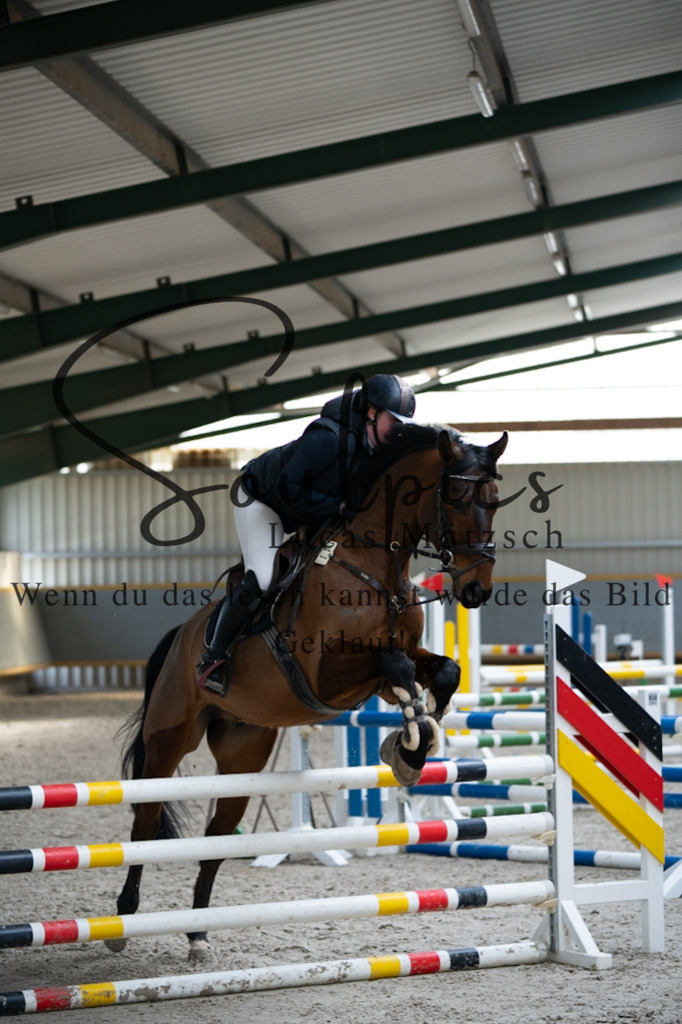 A7V03773 | Pferdefotograf