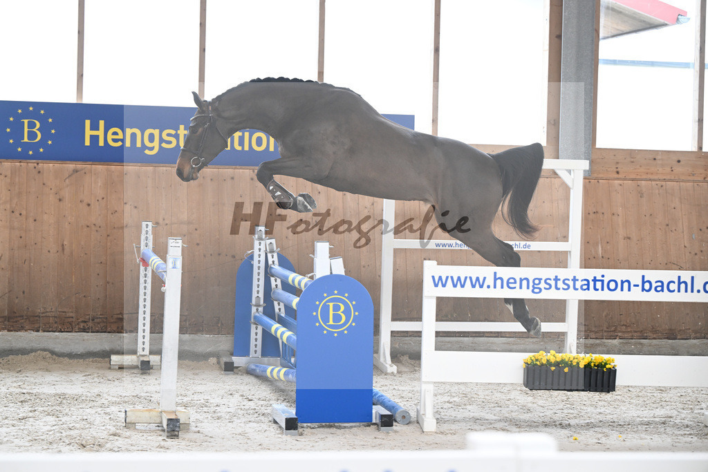 Kat-Nr. 21 Courchevel B v. Cizero Z_Bachl_14260445 | hf-fotografie - Realisiert mit Pictrs.com