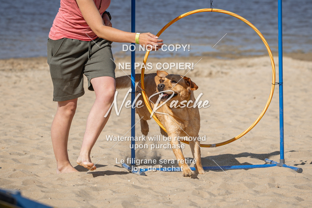 nelerasche_saBeachility_54 | nelerasche