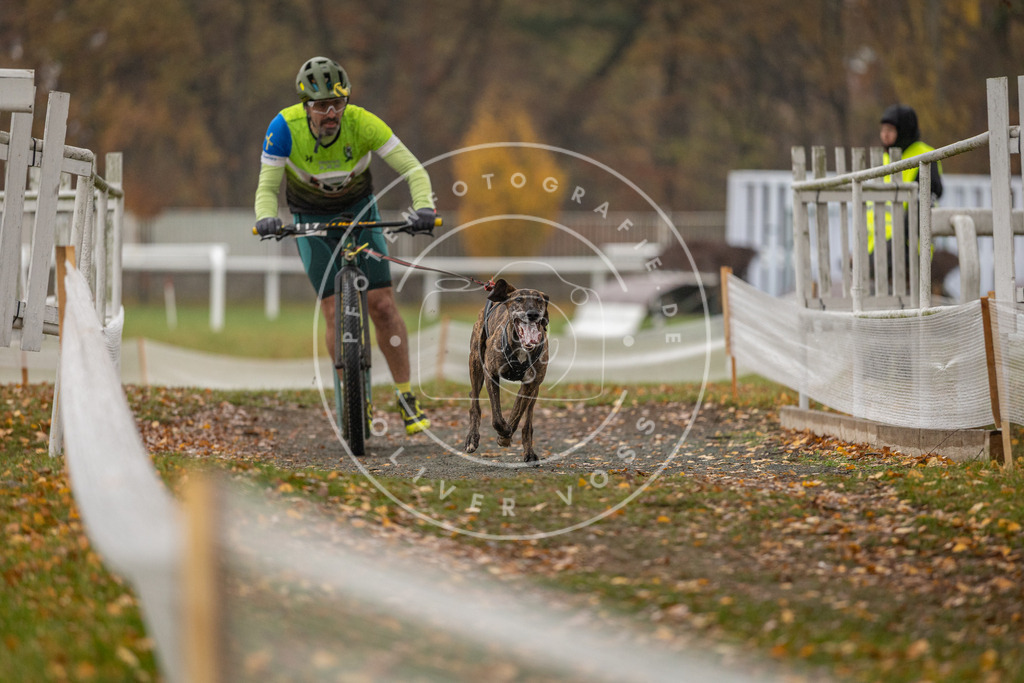 CaniXpix_DV3A8136 | Hundefotografie, Tierfotograf, Pfotenfotografie, Fotoshooting Hund, Hunde Portrait, Hundesport, Hundeportraits, Heideshooting, Hunde, Sportfotograf, Hundefotograf, Turnierhundsport, THS,  - Realisiert mit Pictrs.com