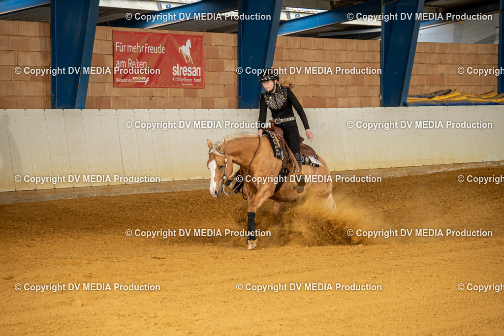 MIT00852 | dv-media-shop - Realisiert mit Pictrs.com