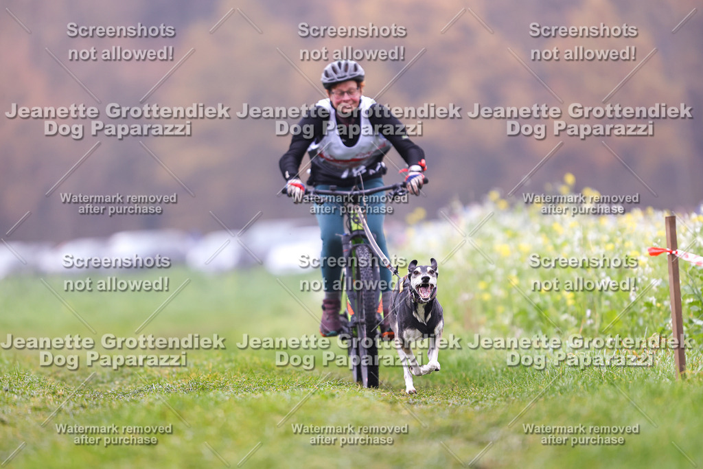 Dog Paparazzi - Visbeck 25 -179 | Dog Paparazzi Jeanette Grottendiek Fotografie & Videografie - Realisiert mit Pictrs.com