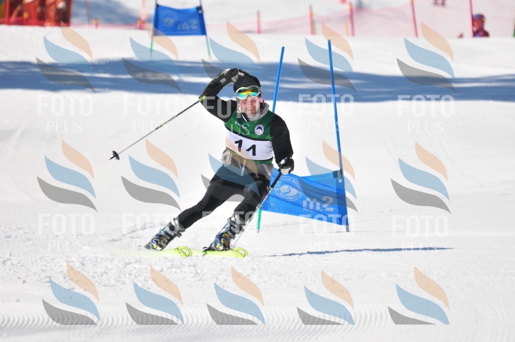 C3386 | holidayphoto