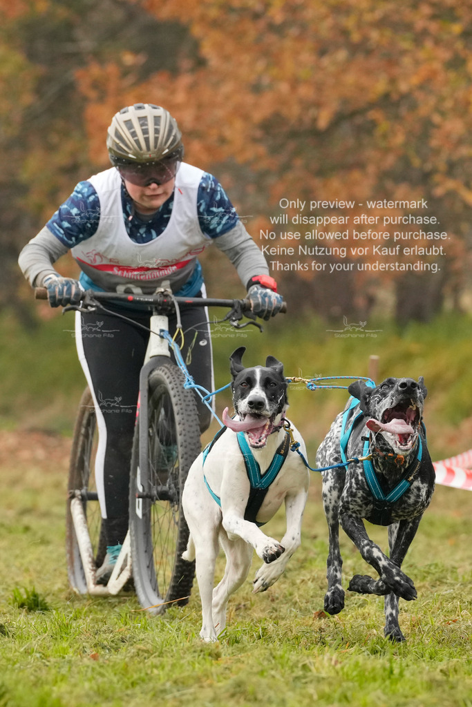 AusschnitteSa-164 | stephaniefillaphotographie - Realisiert mit Pictrs.com