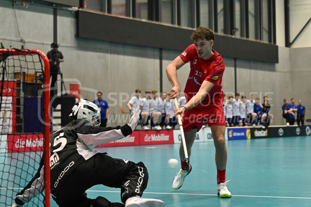 Switzerland B U19 vs Finland U19 - 2. February 2024 | Switzerland B U19 vs Finland U19
U19 Men International Matches in Switzerland
GoEasy Arena, Siggenthal Station
Switzerland scores.
Credit: Markus Aeschimann | <a href="https://www.markus-aeschimann.ch">Sportfotografie Markus Aeschimann</a> | <a href="https://www.instagram.com/sportfotografie.aeschimann">@sportfotografie.aeschimann</a> - Realisiert mit Pictrs.com
