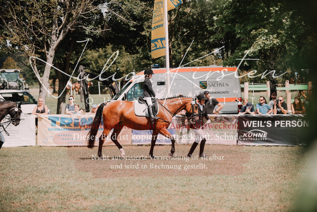 DSC_6125 | Pferde- und Turnierfotografie in Westsachsen. Pferdeportraits, Auftragszeichnungen und intuitive Kunst.