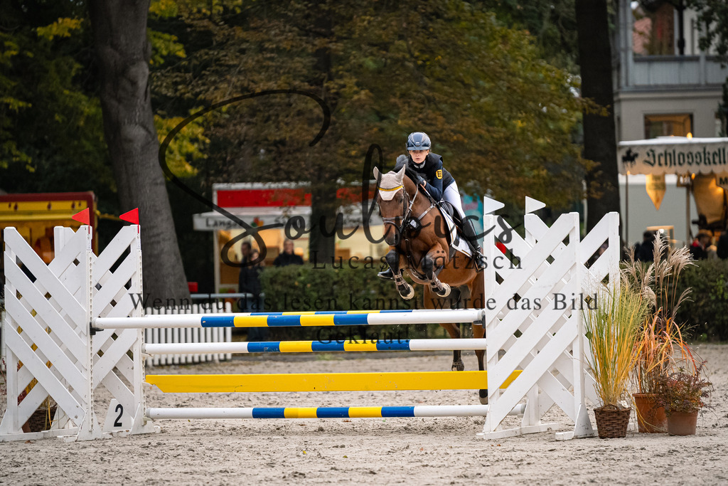 A7V08684 | Turnier/Reitfotograf