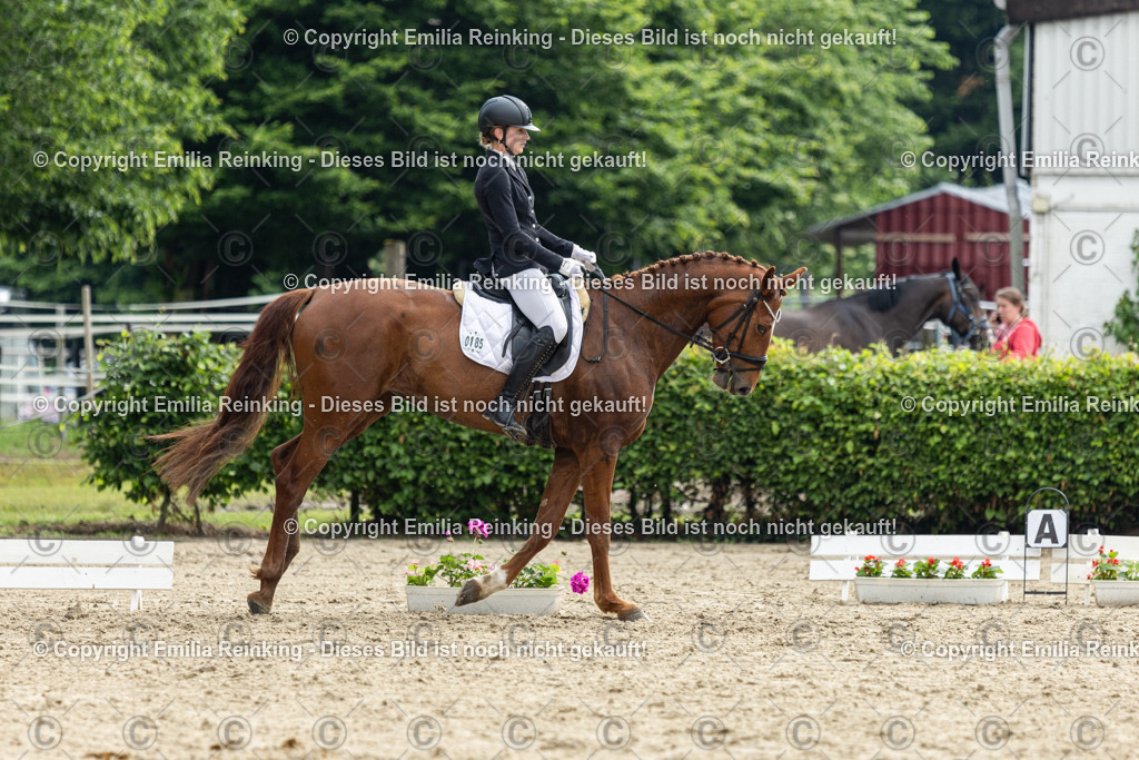 CL5A4612 | Emilia Reinking Fotografie - Realisiert mit Pictrs.com