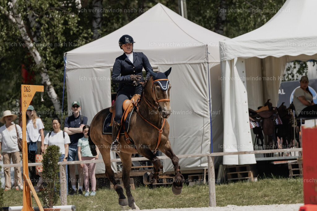 WE_SP_Stoib_329_PI2025_2013 | Pferd International München 2025